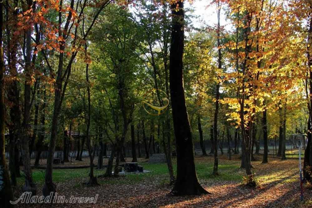 پارک جنگلی قرق در گرگان | علاءالدین تراول