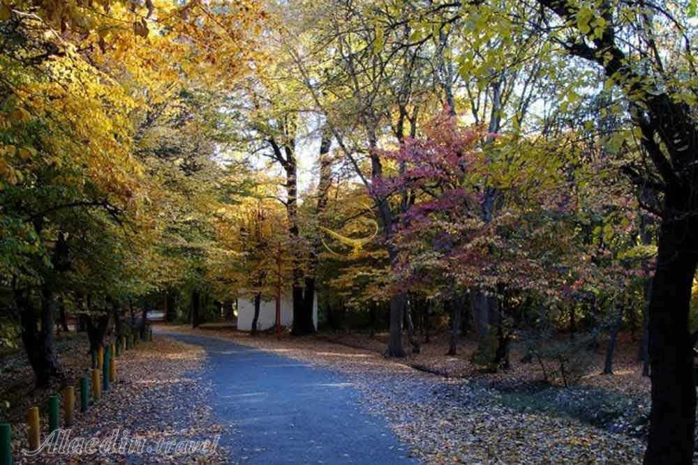 پارک جنگلی قرق در گرگان | علاءالدین تراول