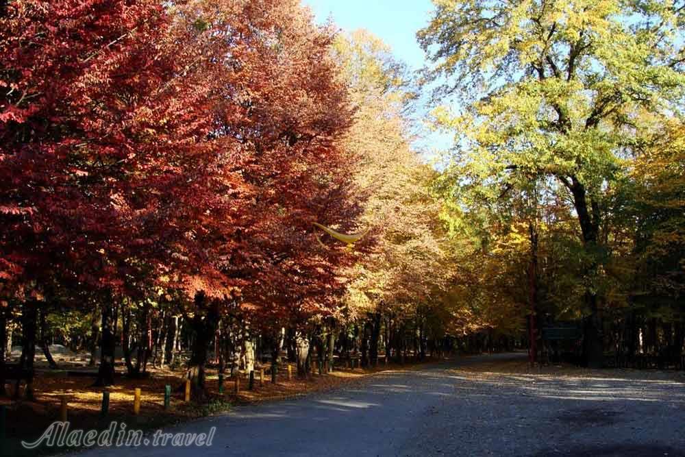 پارک جنگلی قرق در گرگان | علاءالدین تراول