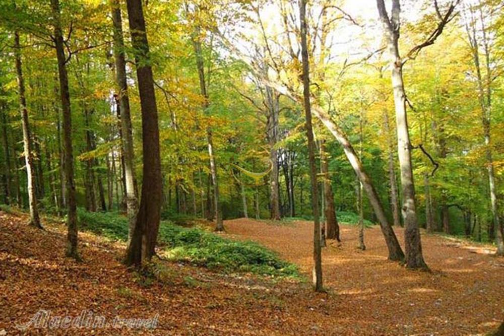 پارک ملی گلستان در گرگان | علاءالدین تراول