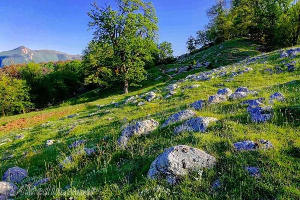 ییلاق جهان نما (دهکده جهان نما) گلستان | علاءالدین تراول