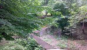 پارک جنگلی کردکوی گرگان