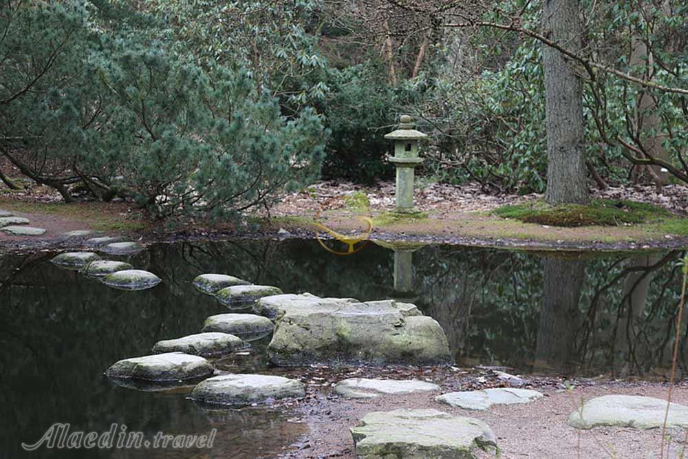 باغ گیاهشناسی گوتنبرگ - سوئد | علاءالدین تراول