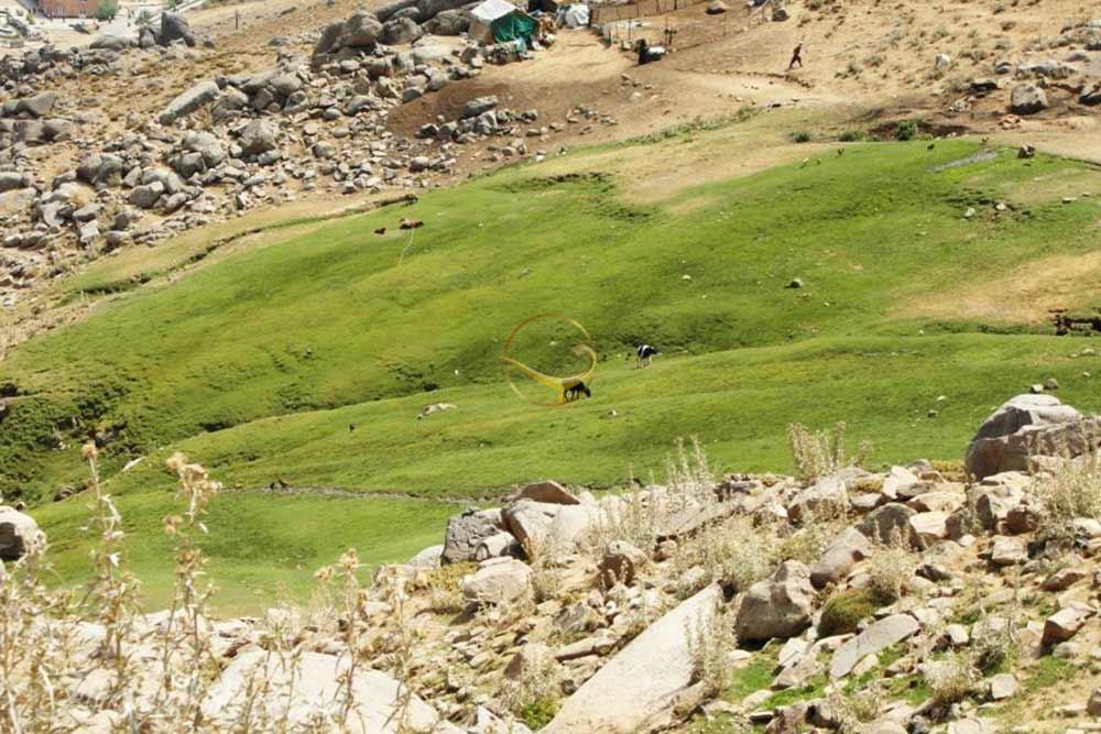 کوه الوند همدان | علاءالدین تراول