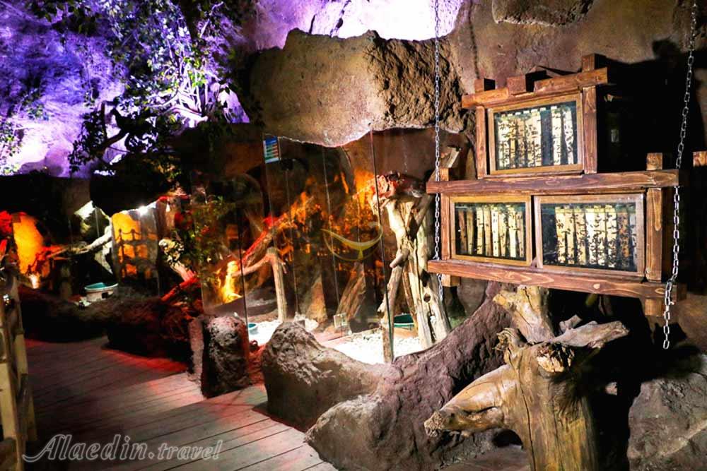 غار آکواریوم گنجنامه همدان | علاءالدین تراول