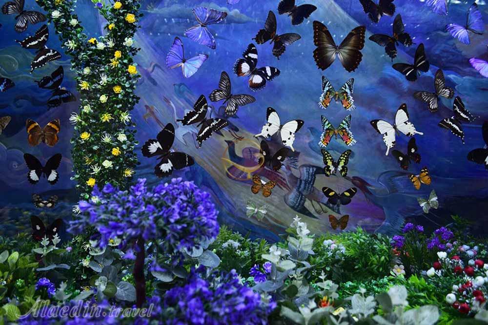 غار آکواریوم گنجنامه همدان | علاءالدین تراول