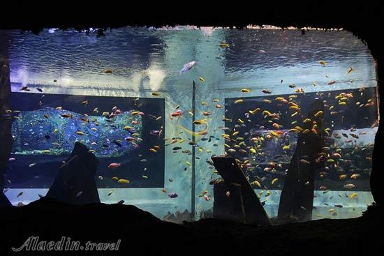 غار آکواریوم گنجنامه در همدان