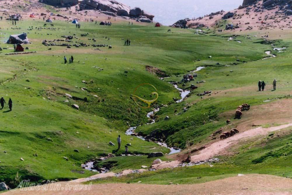 دشت میشان همدان | علاءالدین تراول