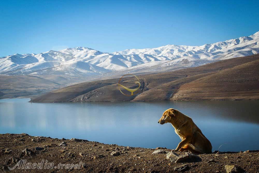 دریاچه و سد اکباتان همدان | علاءالدین تراول