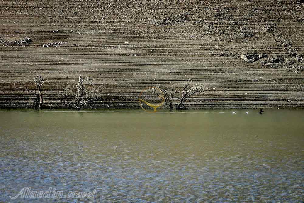دریاچه و سد اکباتان همدان | علاءالدین تراول