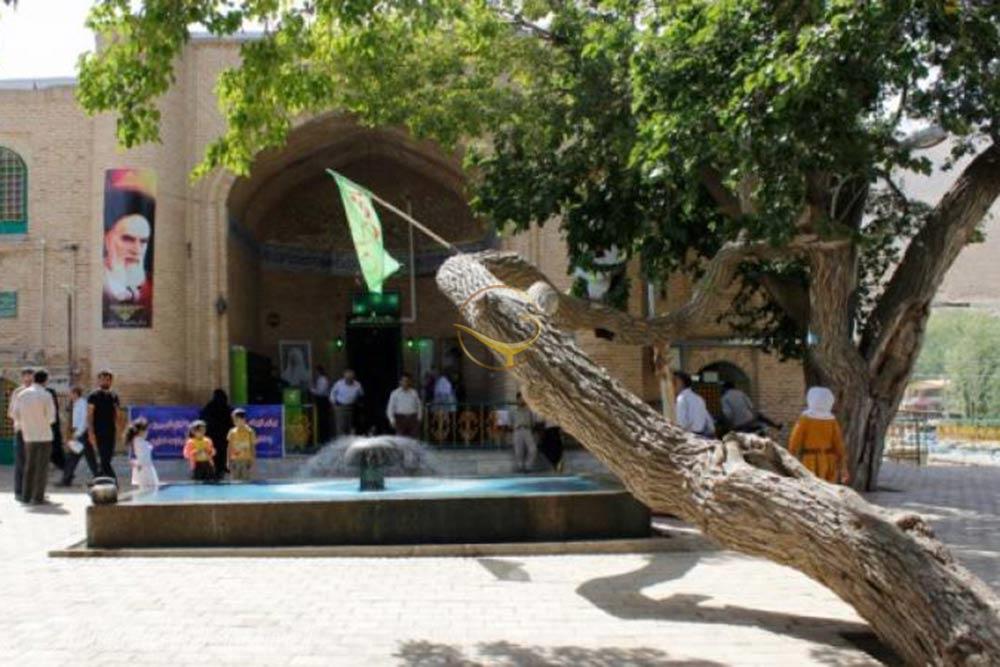 امامزاده کوه در همدان | علاءالدین تراول