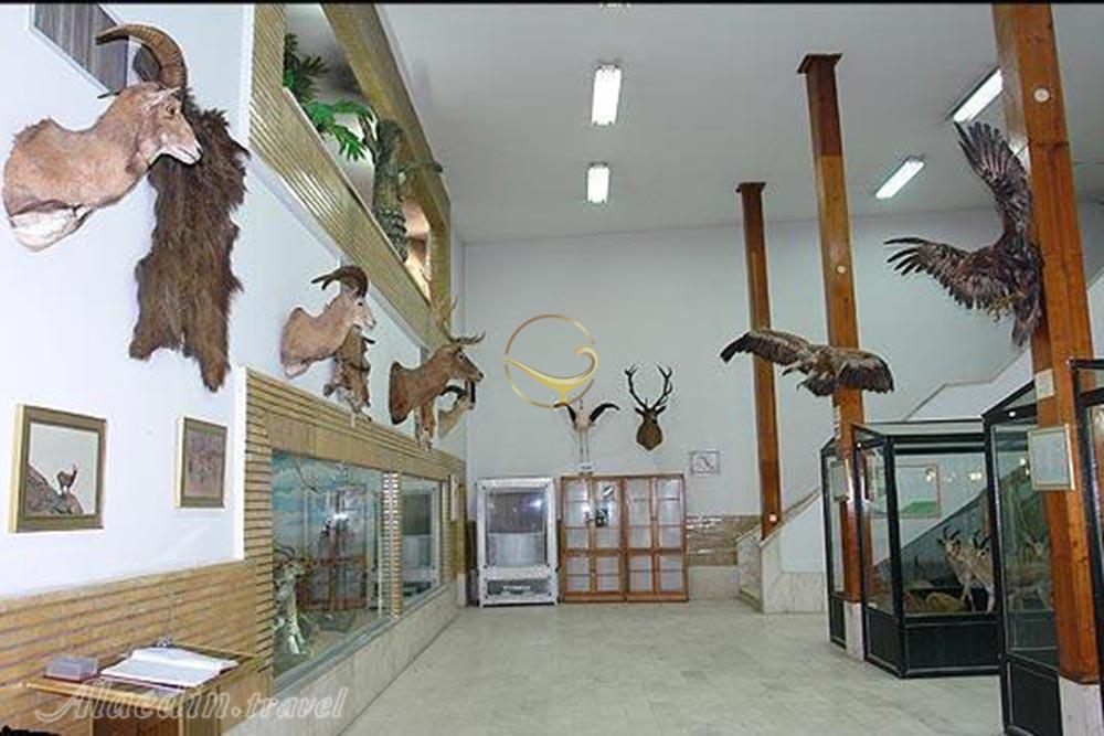 موزه تاریخ طبیعی در همدان | علاءالدین تراول