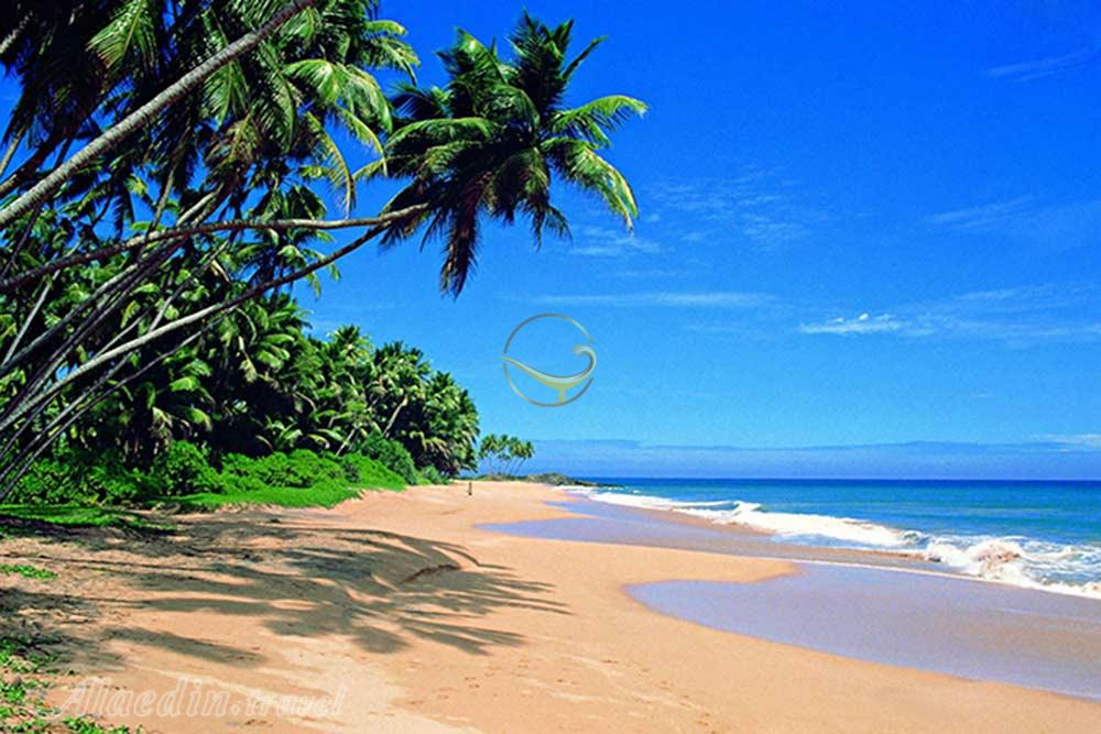 ساحل هیکادوآ - سریلانکا | علاءالدین تراول