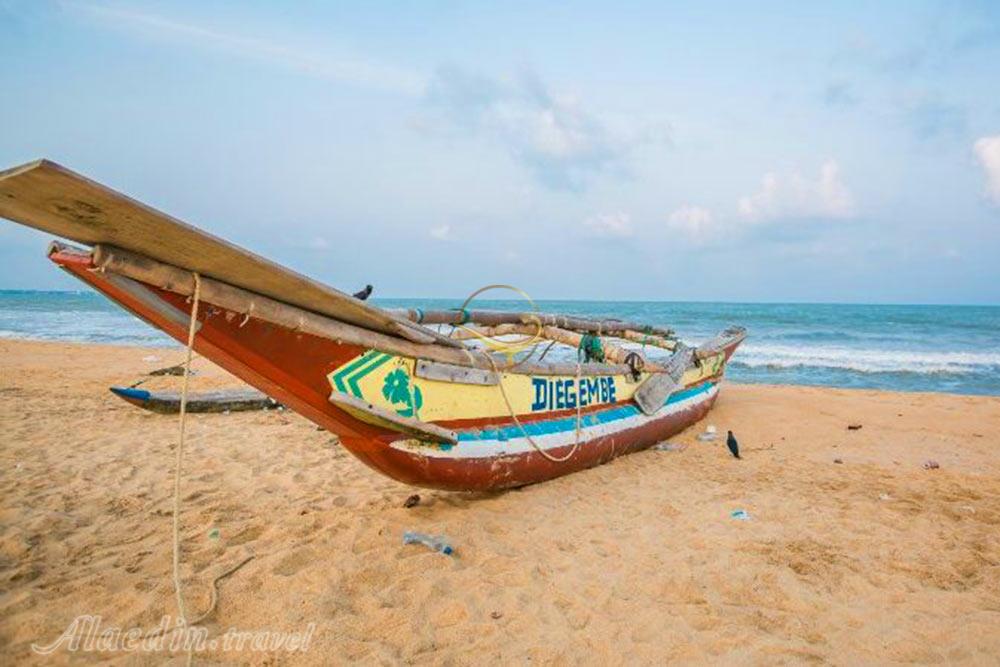 ساحل هیکادوآ - سریلانکا | علاءالدین تراول