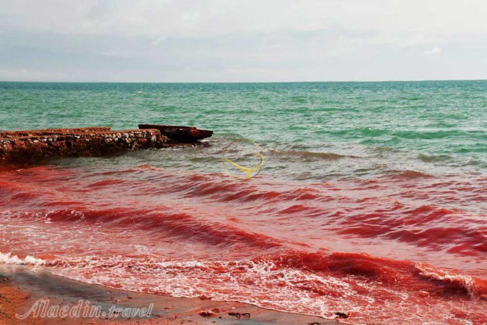 ساحل سرخ هرمز | علاءالدین تراول