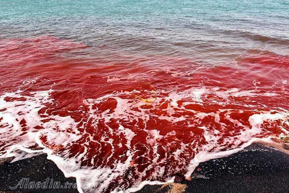 ساحل سرخ هرمز | علاءالدین تراول