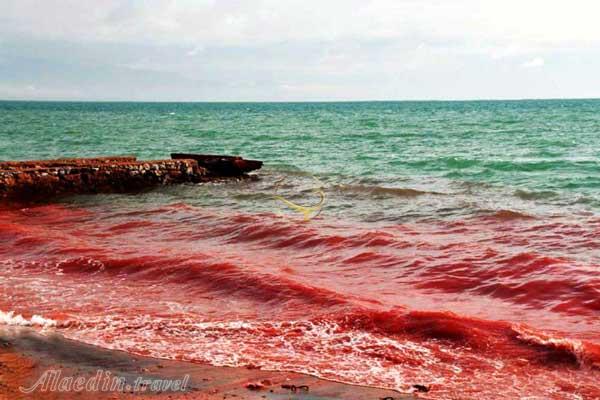 ساحل سرخ هرمز