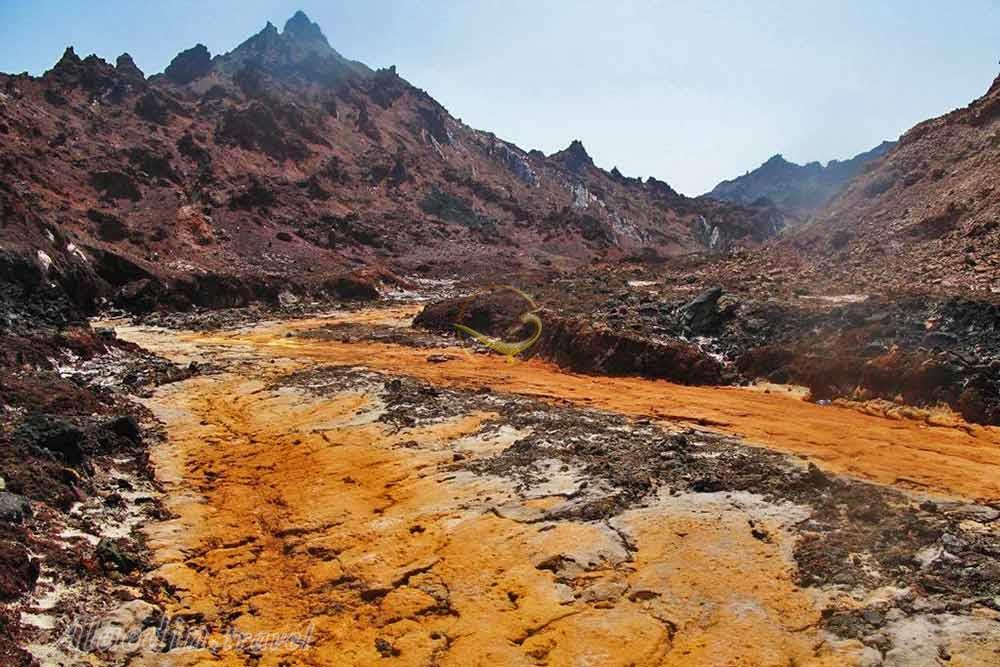 دشت زعفرانی در هرمز | علاءالدین تراول