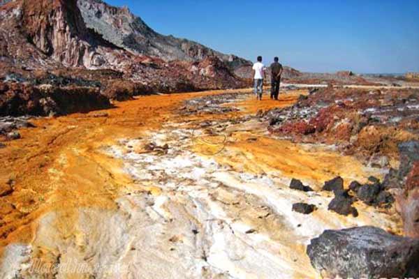 دشت زعفرانی در هرمز