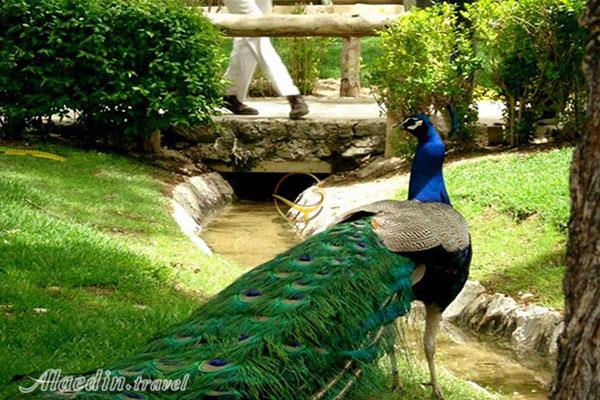 باغ پرندگان اصفهان