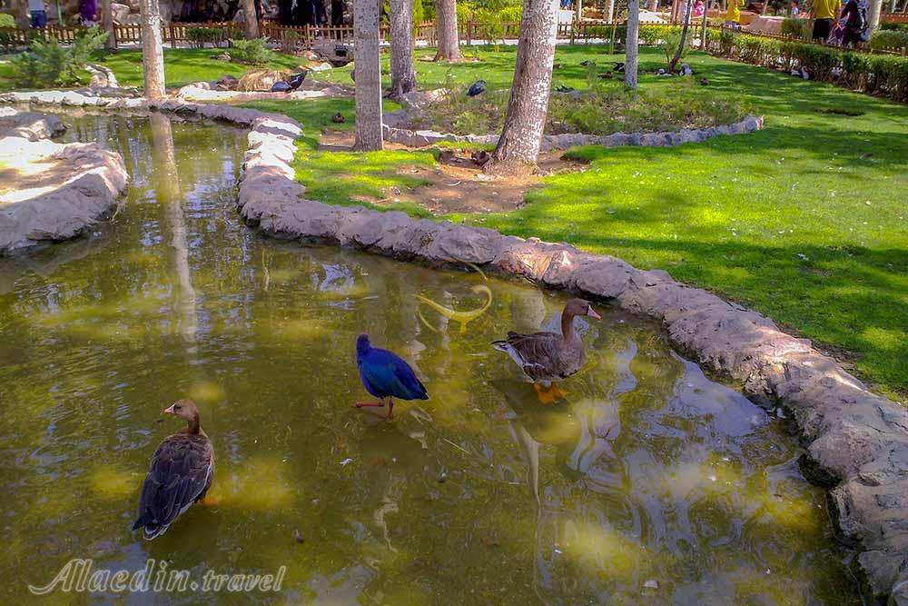 باغ پرندگان اصفهان | علاءالدین تراول