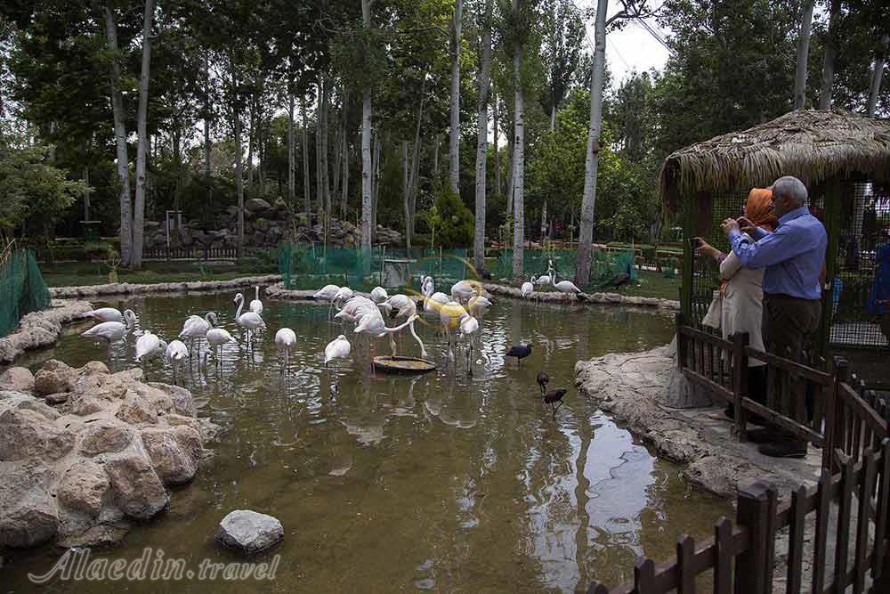 باغ پرندگان اصفهان | علاءالدین تراول