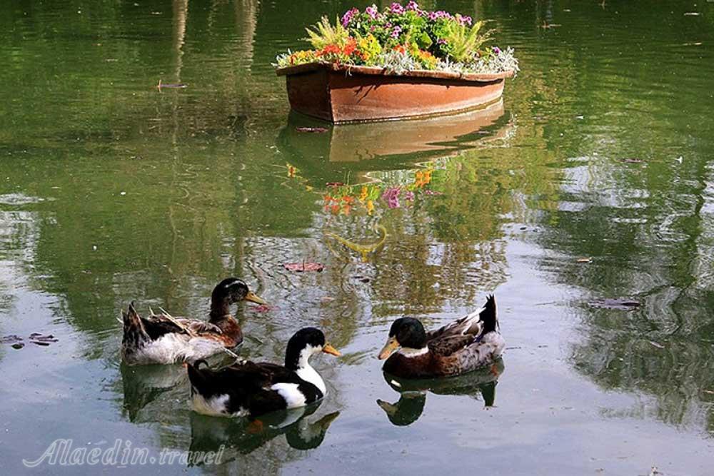 باغ گلهای اصفهان | علاءالدین تراول