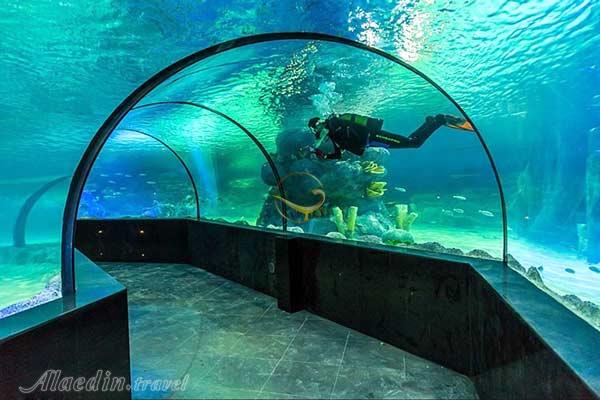 آکواریوم اصفهان