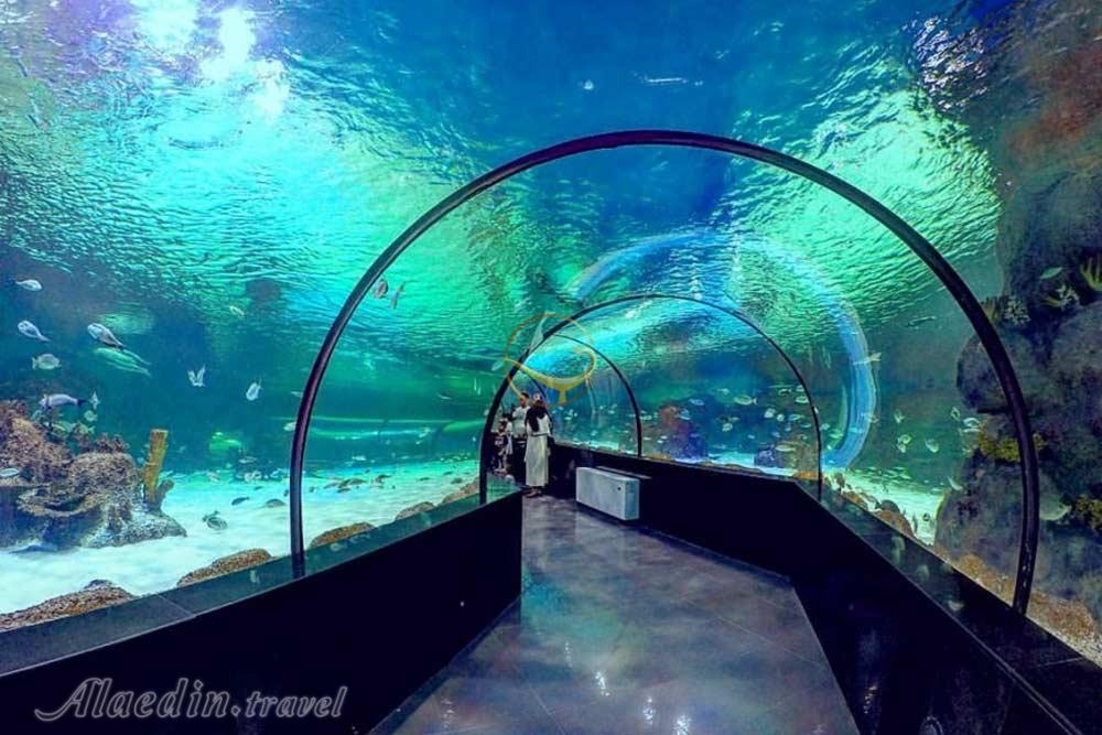 پارک ناژوان اصفهان | علاءالدین تراول