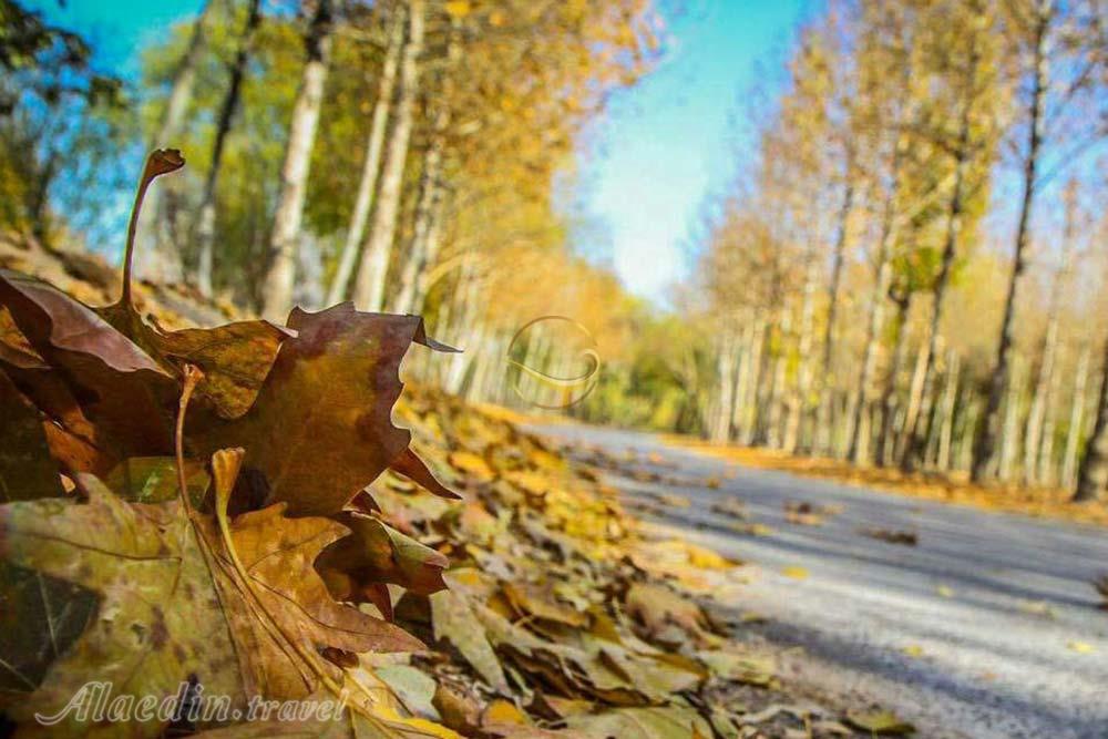 پارک ناژوان اصفهان | علاءالدین تراول