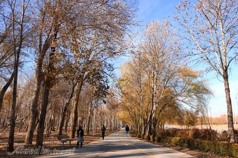 پارک ناژوان اصفهان | علاءالدین تراول