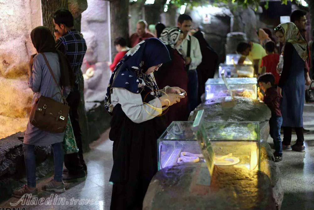 باغ خزندگان اصفهان | علاءالدین تراول