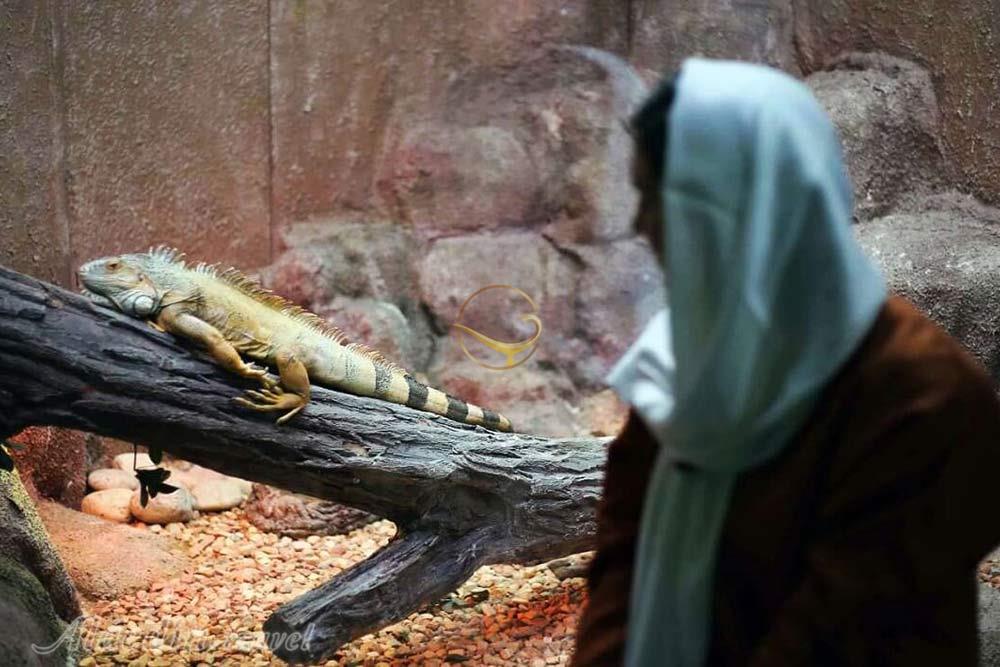 باغ خزندگان اصفهان | علاءالدین تراول