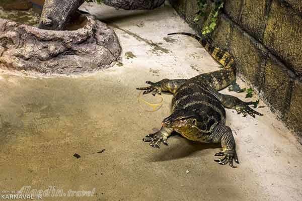 باغ خزندگان اصفهان