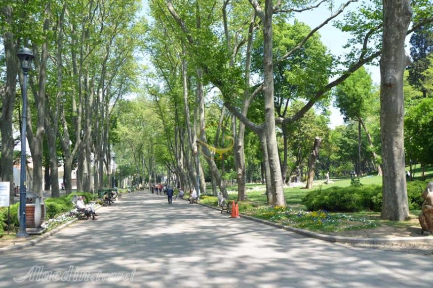 پارک گلخانه استانبول | علاالدین تراول