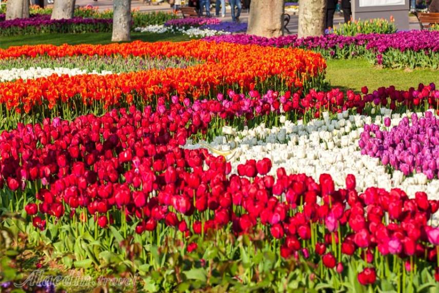 پارک گلخانه استانبول | علاالدین تراول