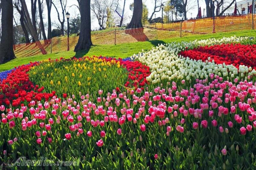 پارک گلخانه استانبول | علاالدین تراول