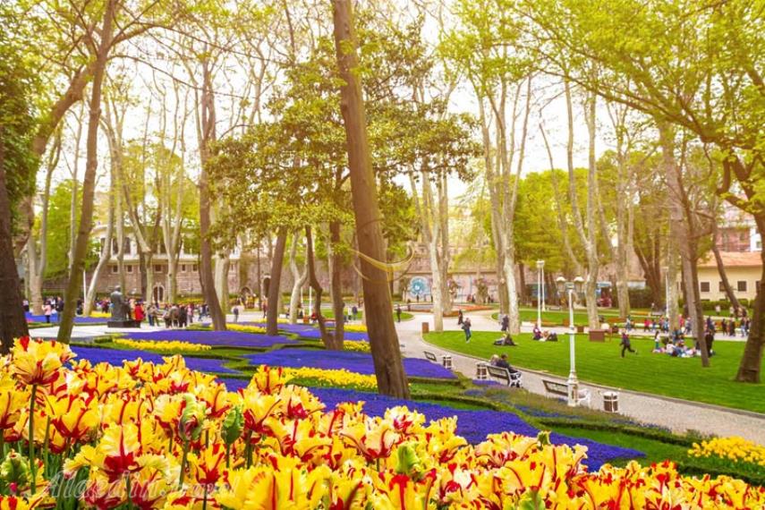 پارک گلخانه استانبول | علاالدین تراول