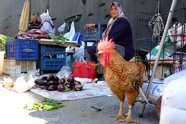 بازار خیابانی بوستانلی در ازمیر - ترکیه