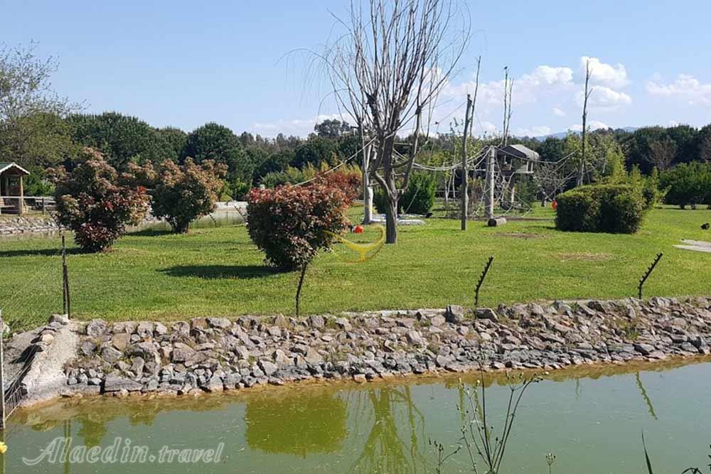 پارک حیات وحش ازمیر در ترکیه | علاءالدین تراول