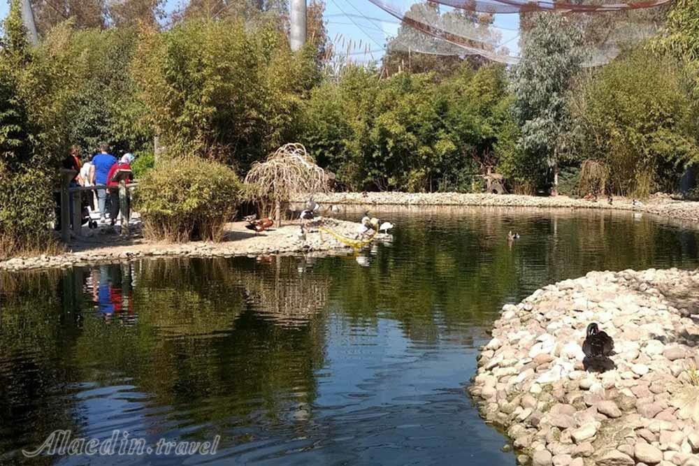 پارک حیات وحش ازمیر در ترکیه | علاءالدین تراول