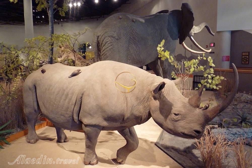 موزه تاریخ طبیعی در ازمیر - ترکیه | علاءالدین تراول