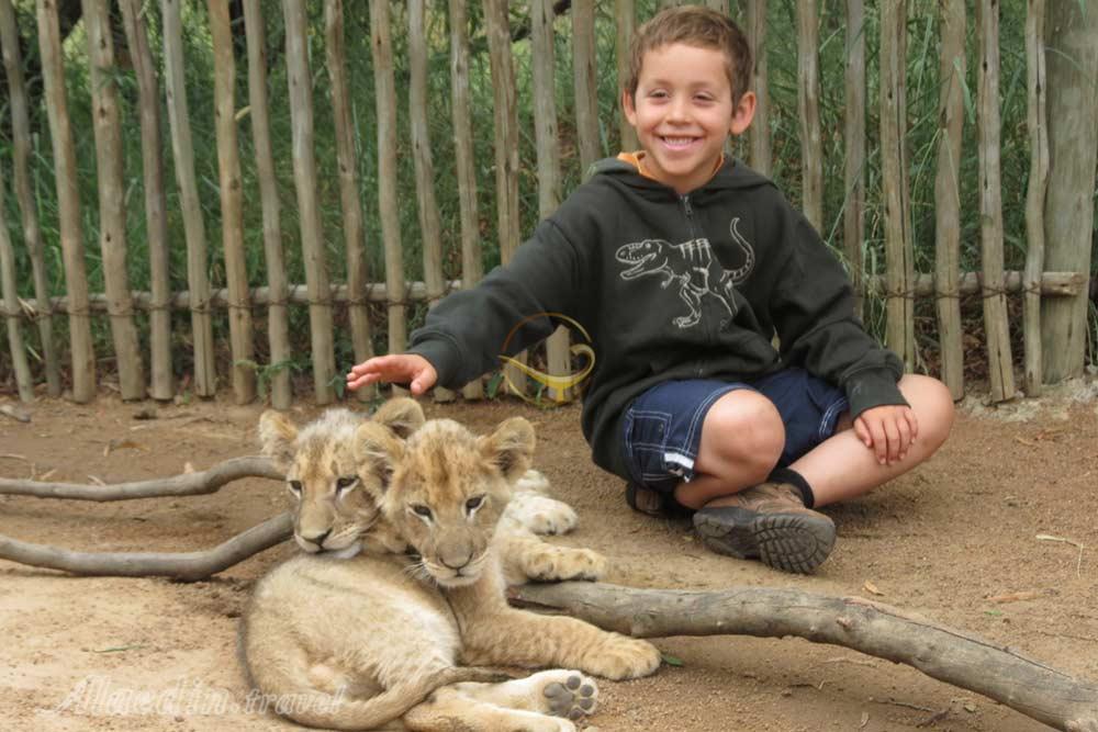 پارک شیرها ژوهانسبورگ | علاءالدین تراول