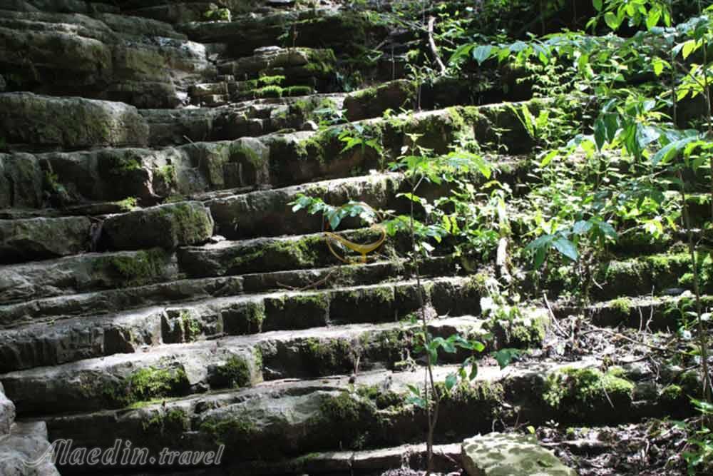 جنگل پلکانی کلاله | علاءالدین تراول