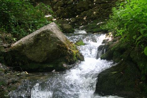 چشمه زاو کلاله