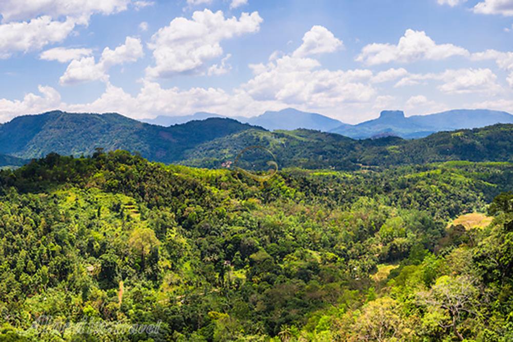 ارتفاعات مرکزی سریلانکا در کندی | علاءالدین تراول