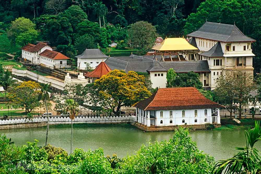 معبد دندان مقدس کندی | علاءالدین تراول