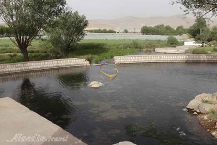 سراب فش کنگاور