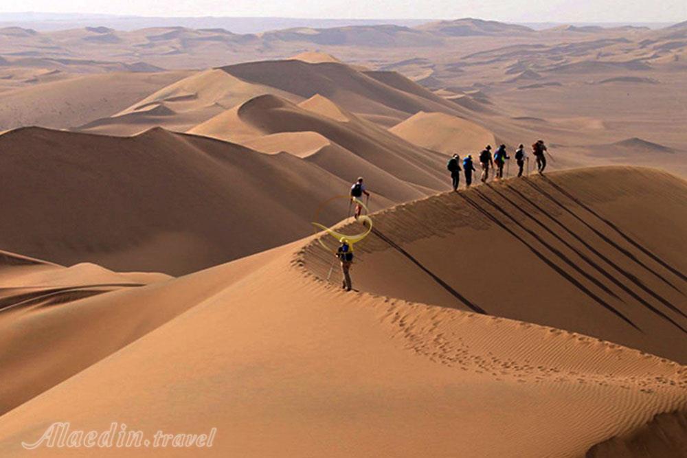 کویر ابوزید آباد کاشان | علاءالدین تراول