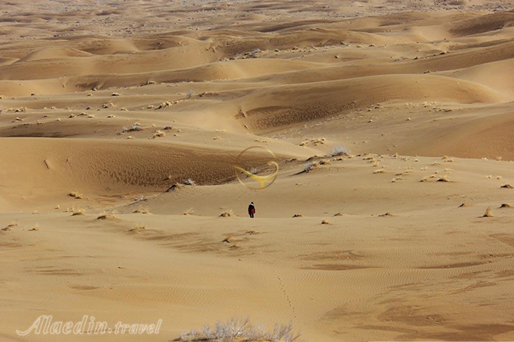 کویر ابوزید آباد کاشان | علاءالدین تراول